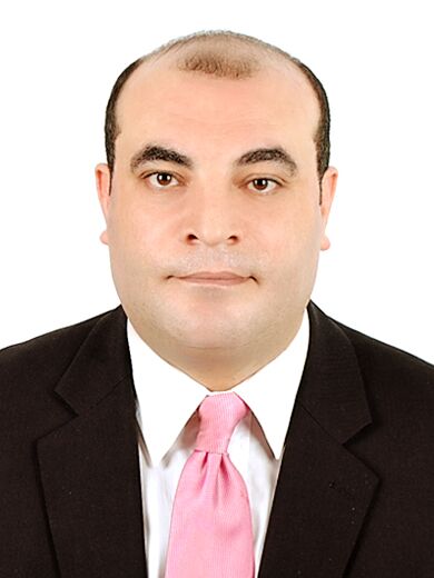 أ.د. علي حسن عبده علي
