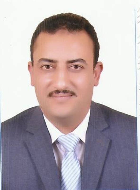 د. السيد فتوح محمد هنداوي