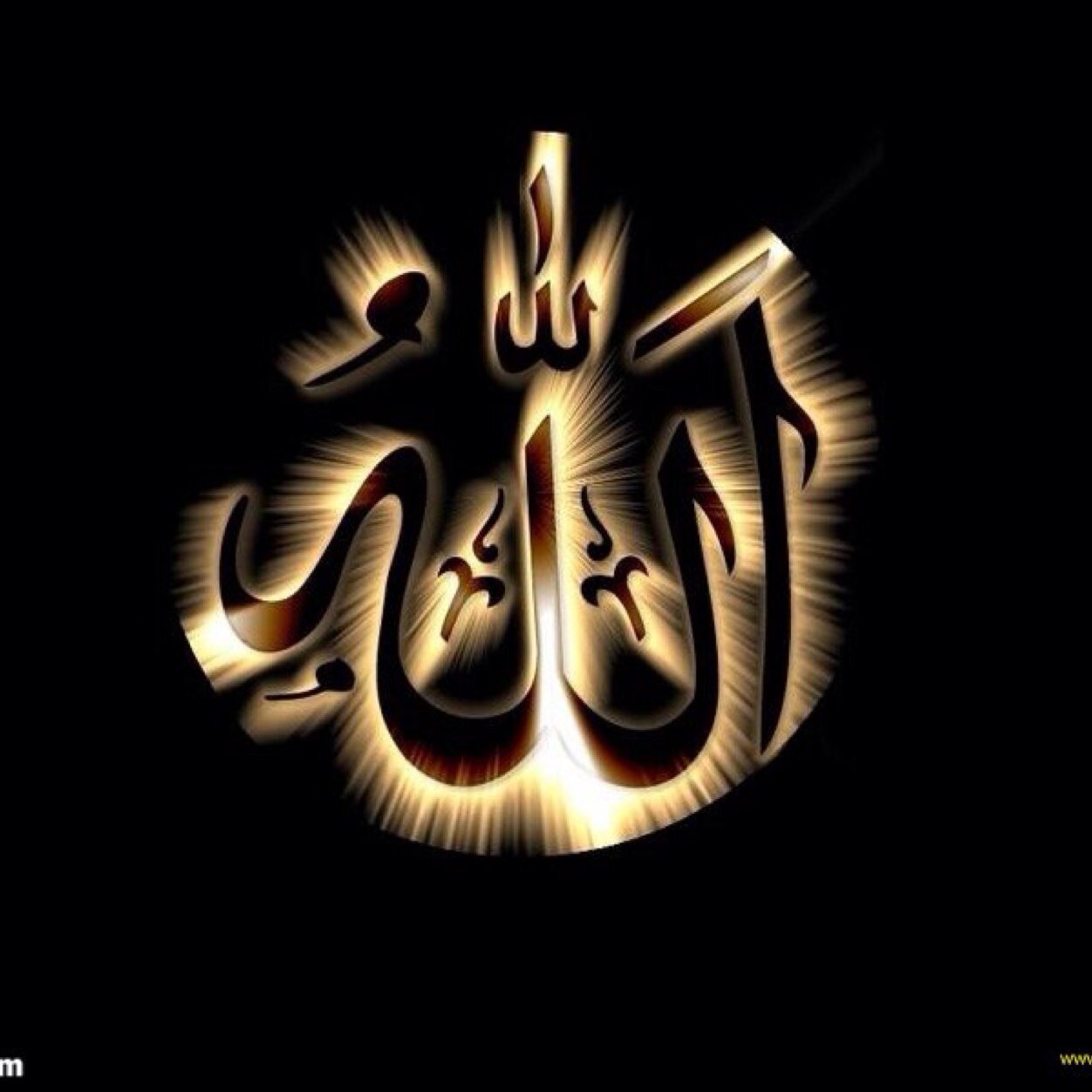 د. هبه احمد خلف علم الدين عاشور