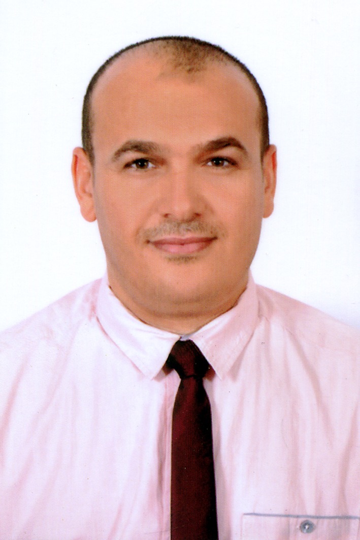 أ.د. محمد سيد محمد عبداللطيف