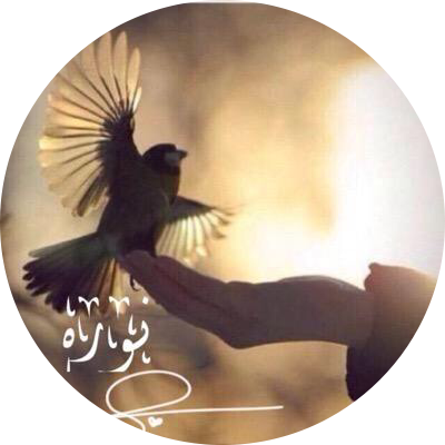 د. نوره صالح محمد المقبل