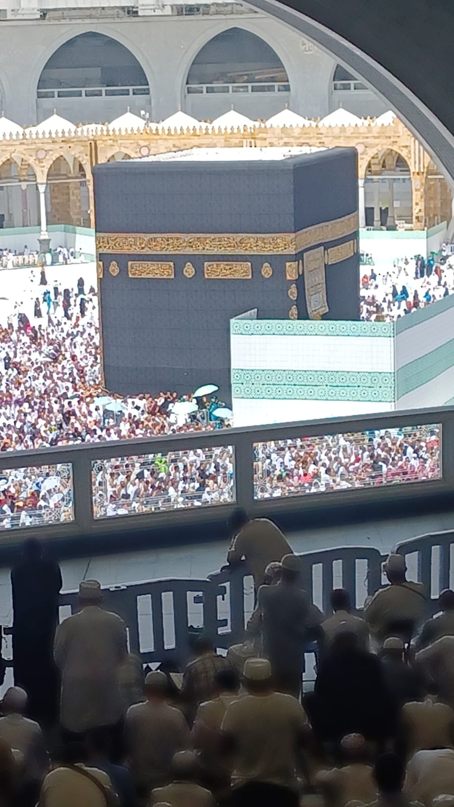 أ. سالي معاويه فتحي جعفر