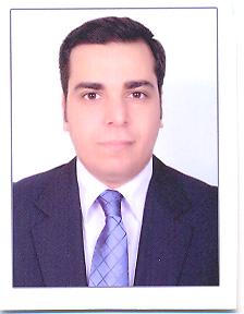 أ.د. وليد صلاح الدين السيد محمود
