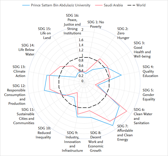 University Contributions to the SDGs (Sustainable Development Goals).