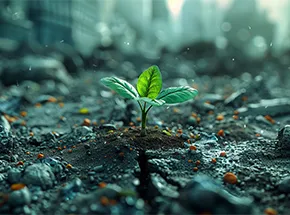 برنامج المرأة وقضايا البيئة والمناخ