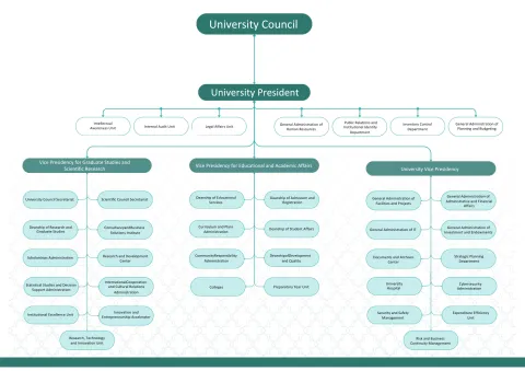 Organizational structure
