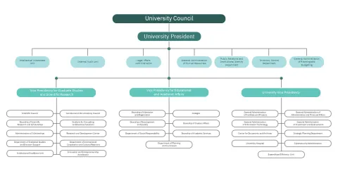 Organizational structure