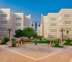 الإسكان