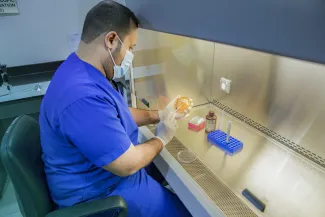 المستشفى الجامعي 2 المستشفى الجامعي 2