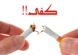 1876769546.png