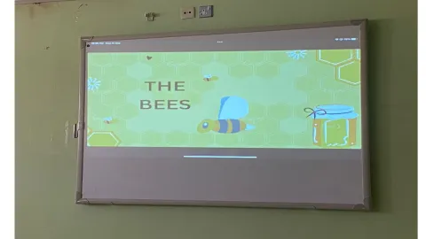 256515151.png